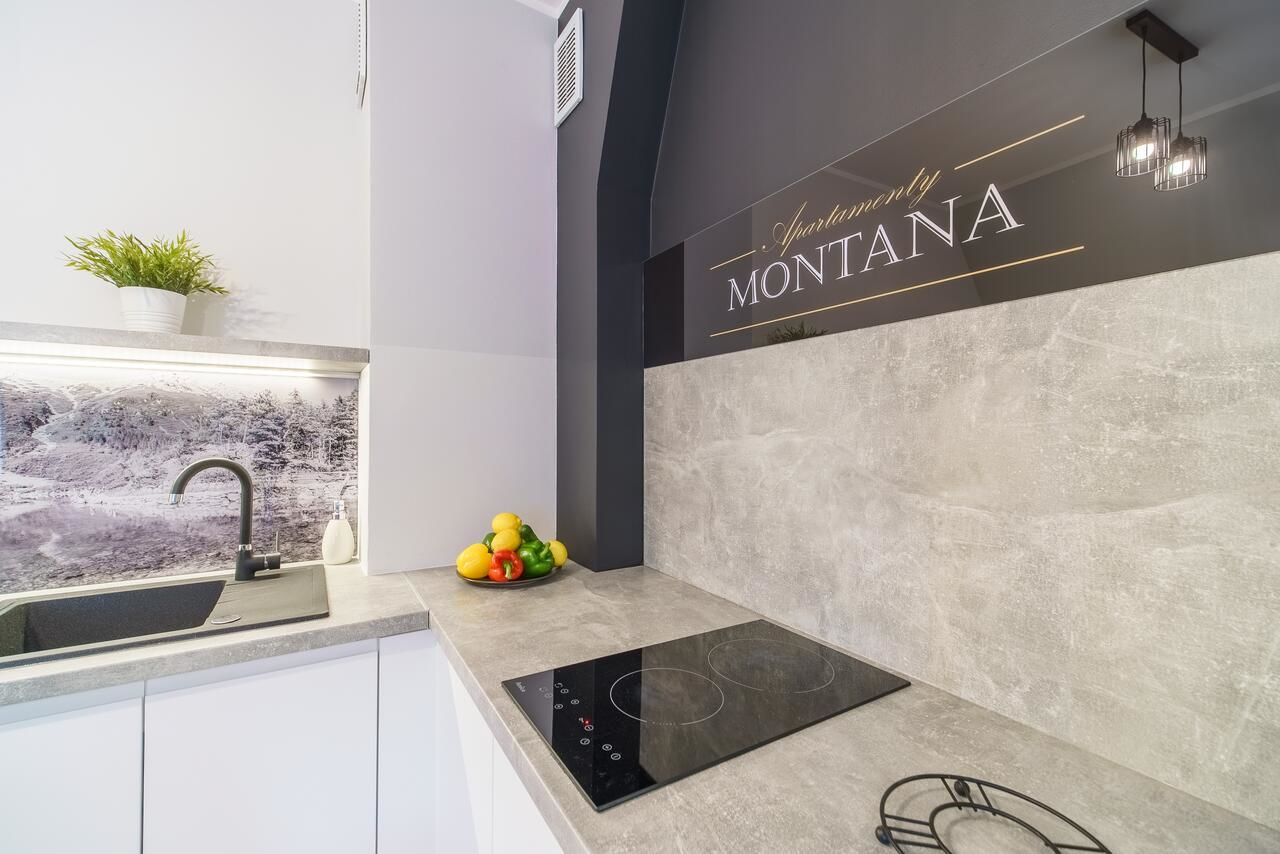 Апартаменты Apartamenty Montana Закопане-28